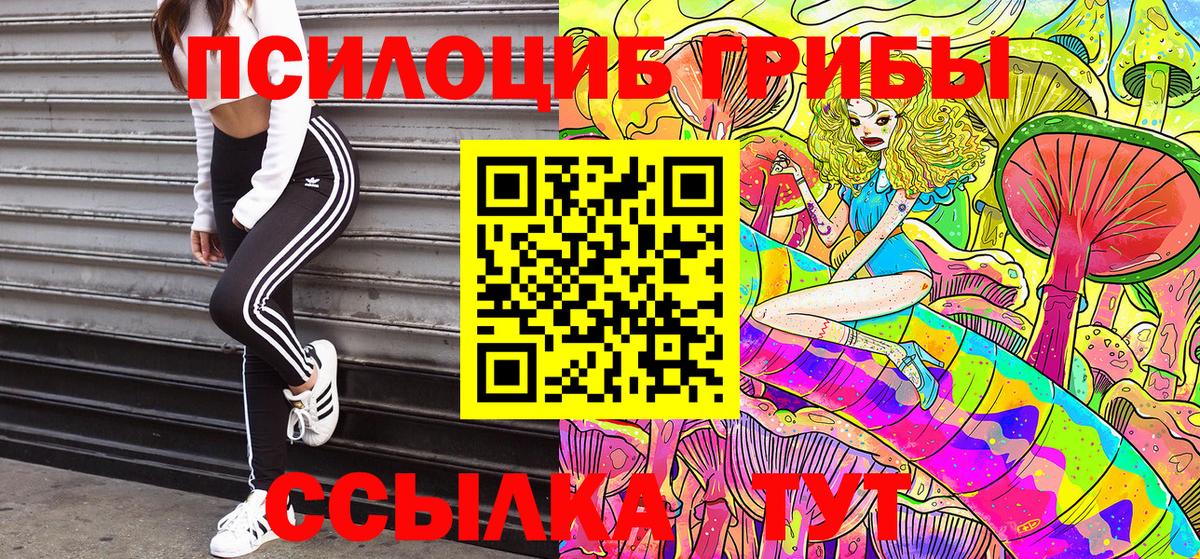 Кулебаки  Псилоцибиновые грибы GOLDEN TEACHER  Вход с VPN 